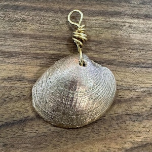 Pingente de concha de quahog banhado a ouro 18k eletroformado - Achado na praia de Rhode Island