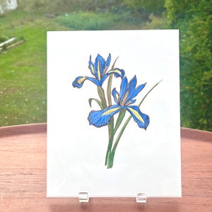 Vtg Porcelanosa Iris Tile XL Oversized Backsplash Kitchen Bathroom Tile, Floral Iris Trivet Tile 10 in x 8 in Tile MONKER for Porcelanosa