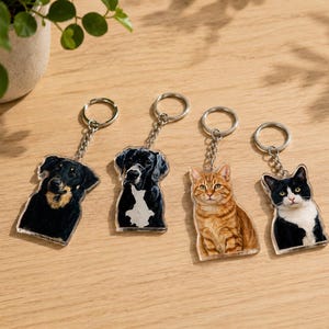 May include: Four acrylic keychains featuring detailed illustrations of animals. Two keychains depict dogs, one with black and tan fur and one with black and white fur. Two keychains depict cats, one with orange tabby fur and one with black and white fur.