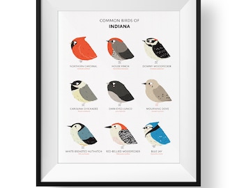 Indiana State Birds Art Print • Illustrated Field Guide