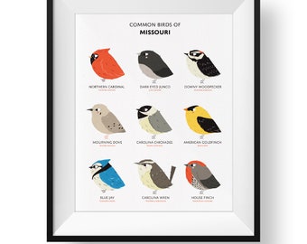 Common State Birds of Missouri Art Print • Illustrated Chubby Bird Print • Missouri Field Guide