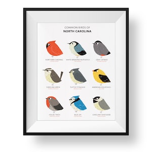 Common State Birds of North Carolina Art Print • Illustrated Chubby Bird Print • North Carolina Field Guide