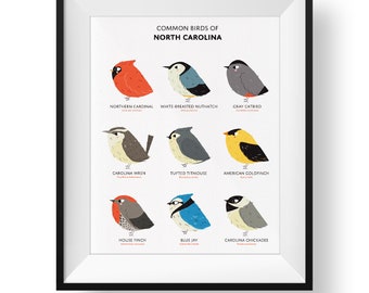Common State Birds of North Carolina Art Print • Illustrated Chubby Bird Print • North Carolina Field Guide