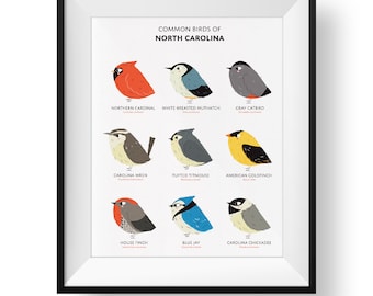 North Carolina State Birds Art Print • Illustrated Bird Guide