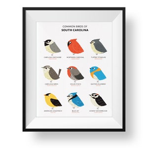 Common State Birds of South Carolina Art Print • Illustrated Chubby Bird Print • South Carolina Field Guide