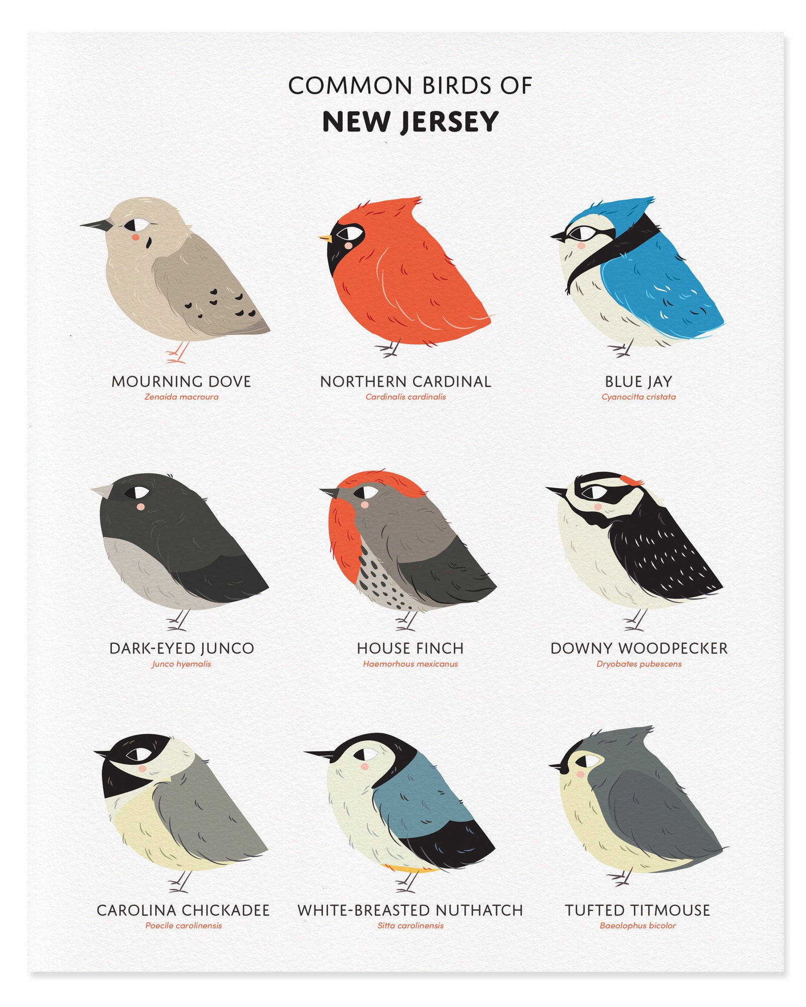 Big black birds in new jersey sales