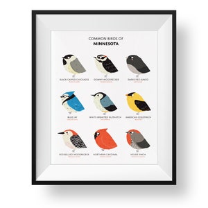 Impresión de arte de aves comunes del estado de Minnesota • Impresión ilustrada de pájaro gordito • Guía de campo de Minnesota
