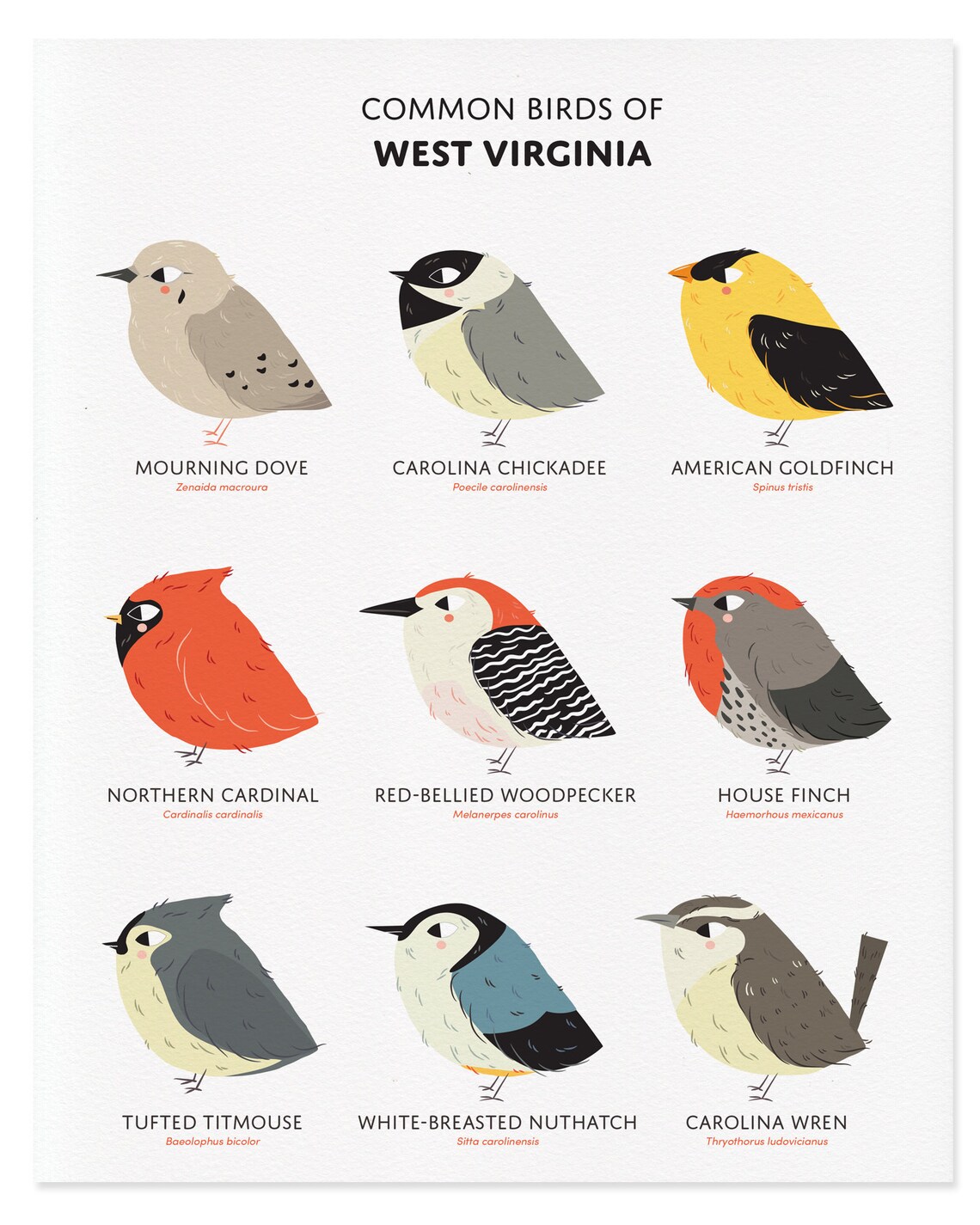 Common State Birds of West Virginia Art Print Illustrated Etsy