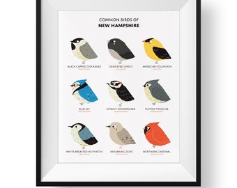 New Hampshire Birds Art Print • Illustrated Field Guide