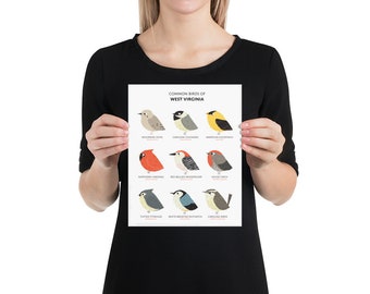 Common State Birds of West Virginia Art Print • Illustrated Chubby Bird Print • West Virginia Field Guide