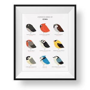 Zustandvögel von Iowa Kunstdruck • Illustrierter Chubby Bird Druck • Iowa Field Guide