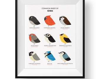 Common State Birds of Iowa Art Print • Illustrated Chubby Bird Print • Iowa Field Guide