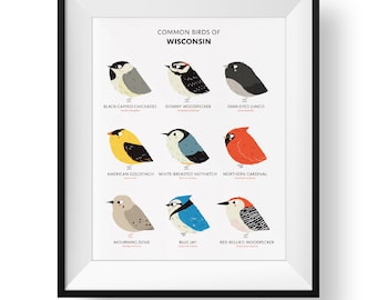 Common State Birds of Wisconsin Art Print • Illustrated Chubby Bird Print • Wisconsin Field Guide