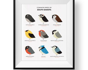 Common State Birds of South Dakota Art Print • Illustrated Chubby Bird Print • South Dakota Field Guide