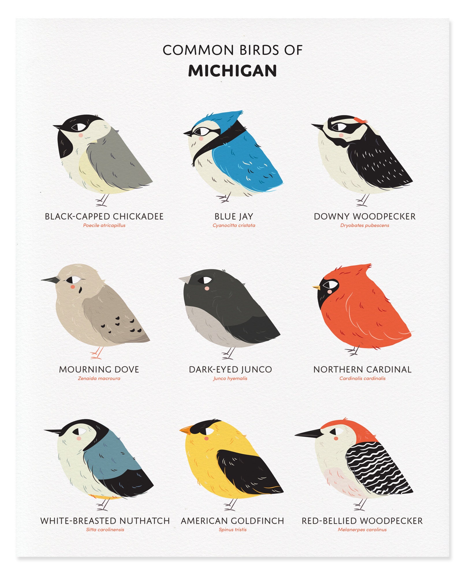 Hoobly Michigan Birds - flal9zq
