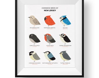 New Jersey Printable Backyard Birds Of New Jersey Field Backyard Birds,  Bird Art Print, Common Birds