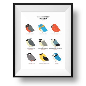 Common State Birds of Virginia Art Print • Illustrated Chubby Bird Print • Virginia Field Guide