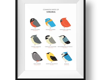 Common State Birds of Virginia Art Print • Illustrated Chubby Bird Print • Virginia Field Guide