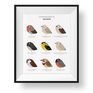 Common State Birds of Nevada Art Print • Nevada Field Guide • Cute Chubby Bird Art
