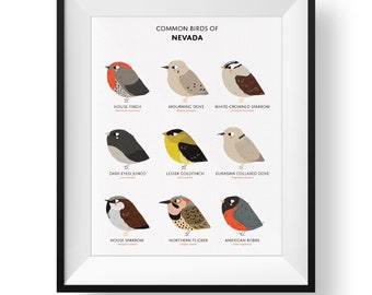 Common State Birds of Nevada Art Print • Nevada Field Guide • Cute Chubby Bird Art