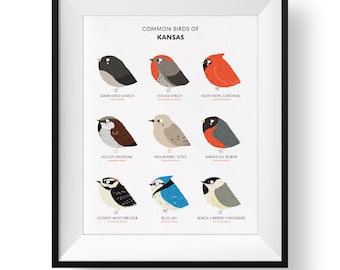 Kansas State Birds Art Print • Illustrated Field Guide