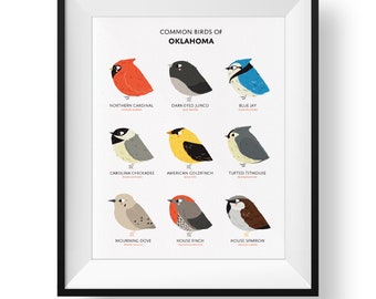 Common State Birds of Oklahoma Art Print • Illustrated Chubby Bird Print • Oklahoma Field Guide