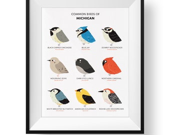 Common State Birds of Michigan Art Print • Illustrated Chubby Bird Print • Michigan Field Guide