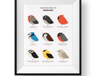 Nebraska State Birds Art Print • Illustrated Field Guide