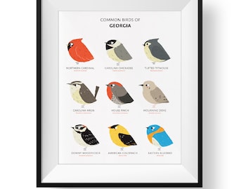 Common State Birds of Georgia Art Print • Illustrated Chubby Bird Print • Georgia Field Guide