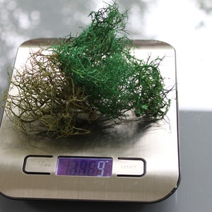 May include: A digital kitchen scale displays a weight of 188.9. Two clumps of decorative moss, one green and one olive-green, sit on the scale. The scale is silver and has a digital display.