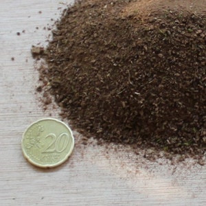 May include: A pile of dark brown soil with small bits of green vegetation. A 20-cent Euro coin is next to the soil, providing a size reference. The soil appears to be rich and fertile, possibly for gardening or landscaping.