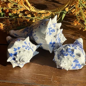 Decoupaged and Resined whelk shells