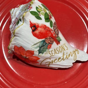 Decoupaged and Resined Whelk shell