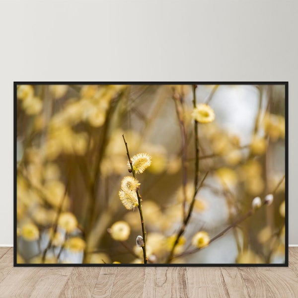 Goat Willow Photography Print | Digital Download Print | Botanical Photography Print | Printable Plant Wall Art | Botanical Print