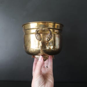 May include: A vintage brass planter with ornate handles and decorative base. The planter has a rounded body and a wide rim. The brass has a polished finish, reflecting light. The handles are curved and detailed.