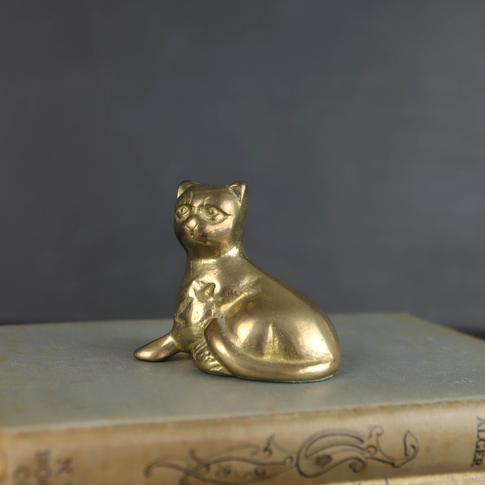 Vintage Brass Cat Paperweight Kitten Figure Etsy