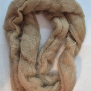 May include: A continuous length of unspun wool roving in a soft, light tan color. The fiber has a fluffy, airy texture with visible natural crimp and a matte finish, arranged in a loose, folded loop shape with a consistent thickness throughout.