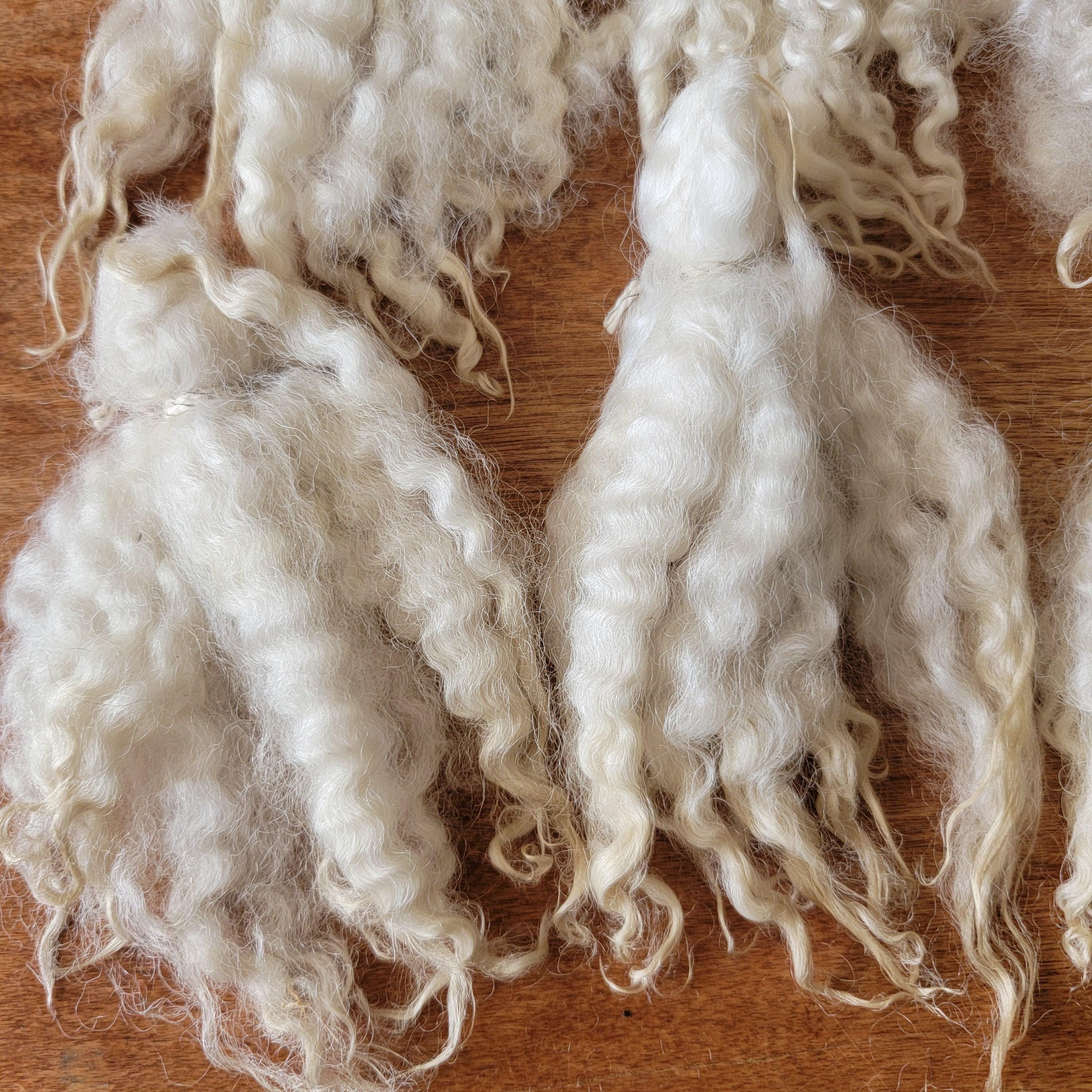 Santa Beards 4.5 to 5" Trolls, Dolls, gnomes Soft Natural Lamb Wool Primitive creamy white 12 pk curly