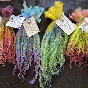 May include: Six bundles of dyed, curly mohair locks arranged in a row. Each bundle features a unique gradient of colors including yellow, pink, blue, green, and purple. Every bundle is tied with white string and includes a small white product tag.
