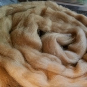 Cashmere TOFFEE 100 percent  Roving Combed Top  spinning fiber fibre 2 oz
