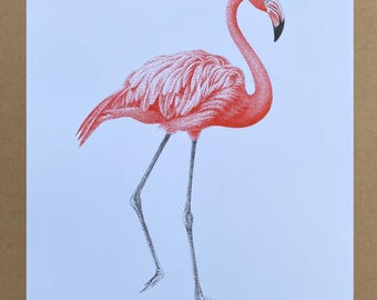 Original Pen and Ink Drawing Prints - Unique Art Pieces