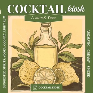 Tasting Set of 4 different Cocktail Pre-Mixers , Perfect for House Cocktail Party/Special Occasion serves 16-20 cocktails, 350ml each bottle zdjęcie 4