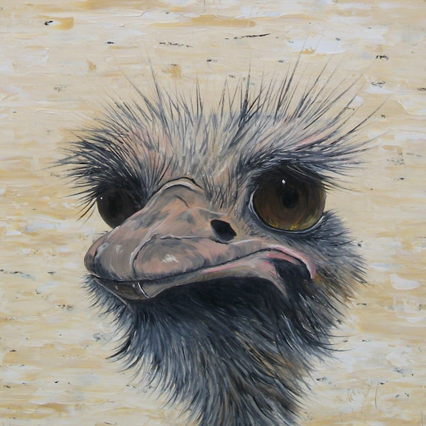 Ostrich, Ostrich Head, Africa, Bird, Art Print