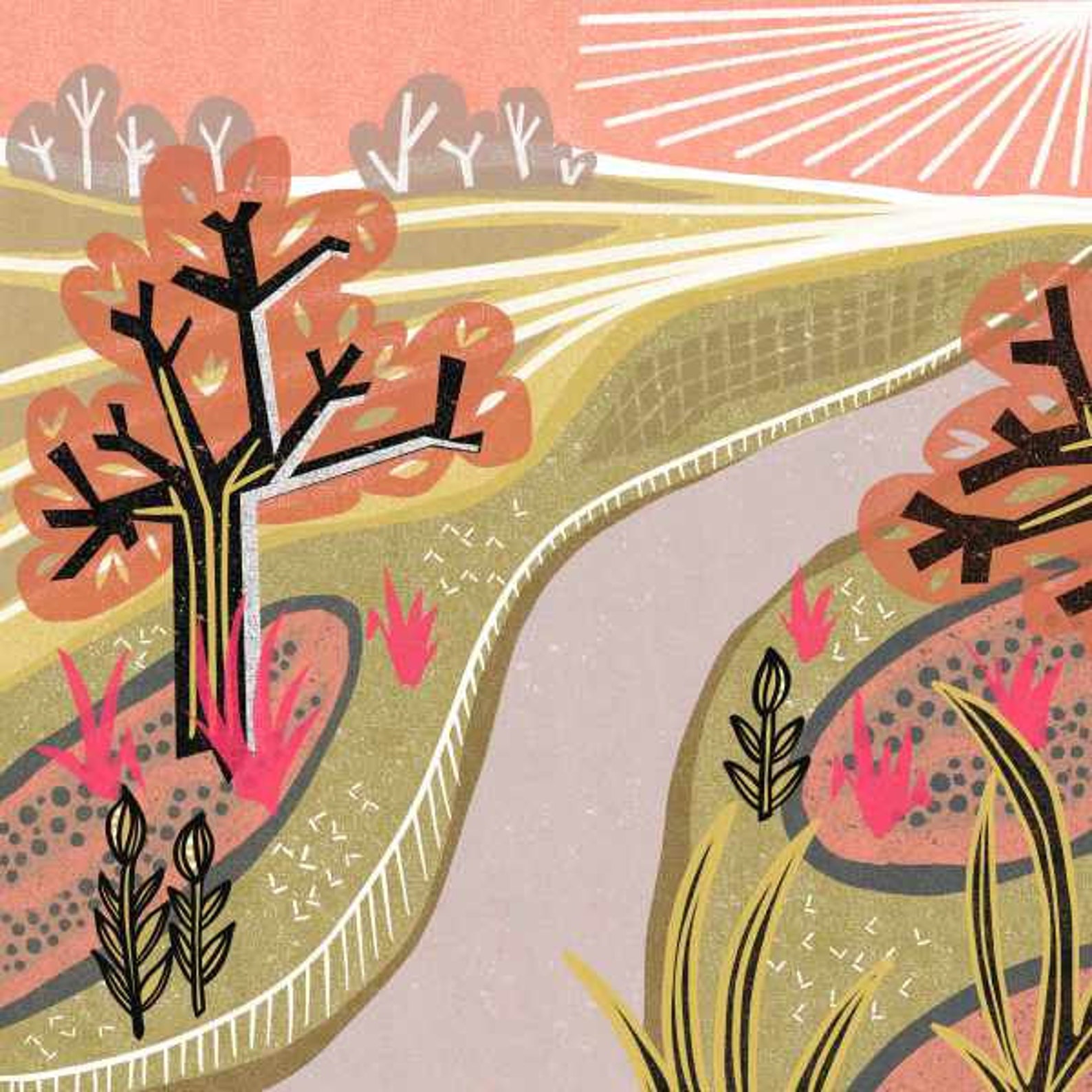 Mid Century Modern Wall Art Pink Garden Wall Art Etsy