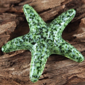 Make a Difference One Starfish at a Time...SEAWEED Fused Glass Starfish image 1