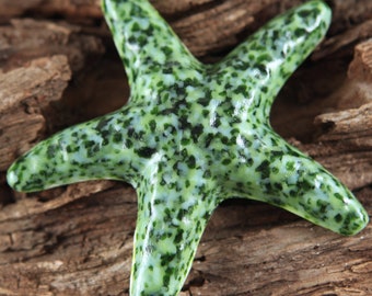 Faites une différence une étoile de mer à la fois... SEAWEED Fused Glass Starfish