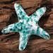 see more listings in the Starfish section