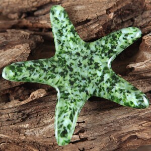 Make a Difference One Starfish at a Time...SEAWEED Fused Glass Starfish image 2