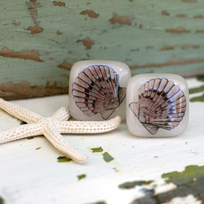 Ready To Ship SCALLOP SHELLS Fused Glass Cufflinks in BROWN