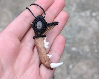 Jaw Bone Necklace, Beaver Bone, Bone Jewelry, Antler Necklace